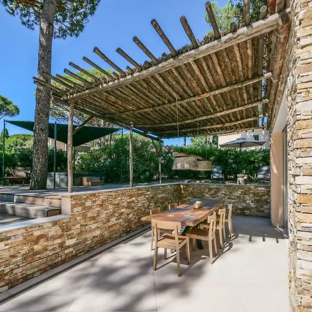 Pinède Proche Et Tropez